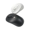 Ready Ship 2.4G & BT Wireless Optical Mouse 4D Button Dual Mode USB Interface Private Tooling Retail Gift Mouse MW-036L W/O Logo