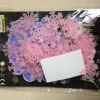 Luminous Snowflake Stickers