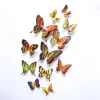 3D Butterfly Wall Stickers