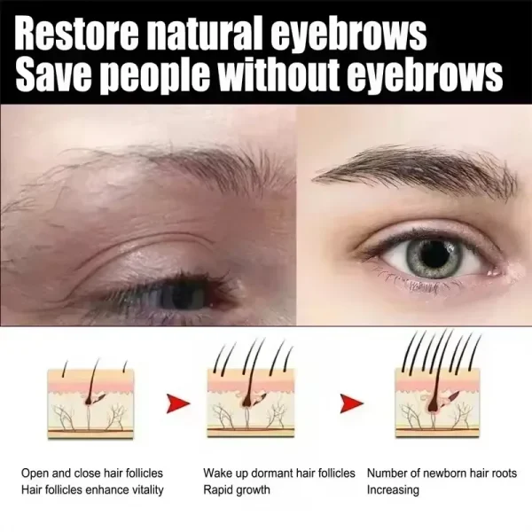 Eyebrow Growth Serum Eyelash Enhancer