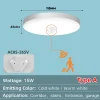 Ceiling Light