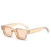 Small Rectangle Thick Frame Sunglasses