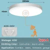 Ceiling Light