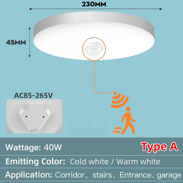 Ceiling Light