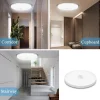 Ceiling Light
