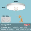 Ceiling Light
