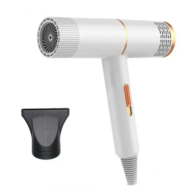 Professional High-Speed Hair Dryer 110V/220V