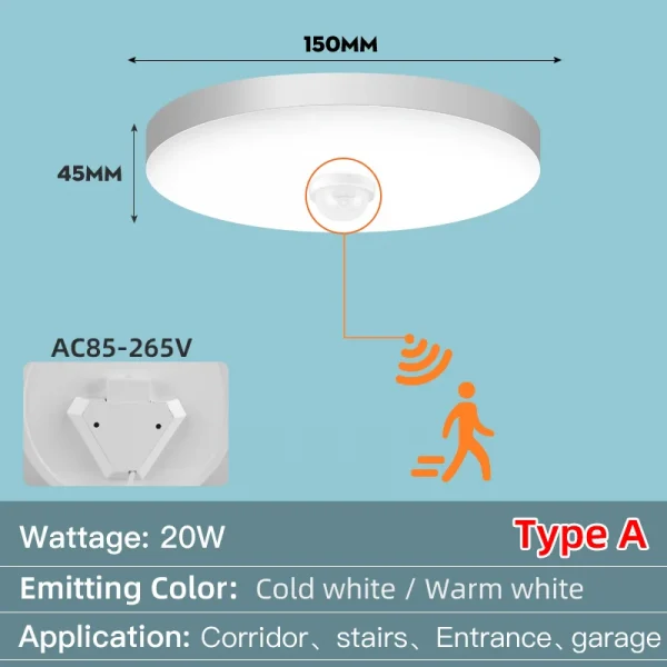 Ceiling Light