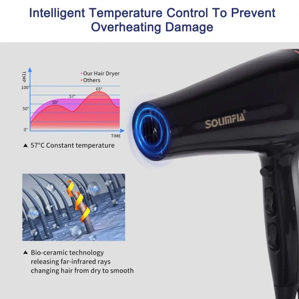 Professional 6-Level Hair Dryer for Salon and Home