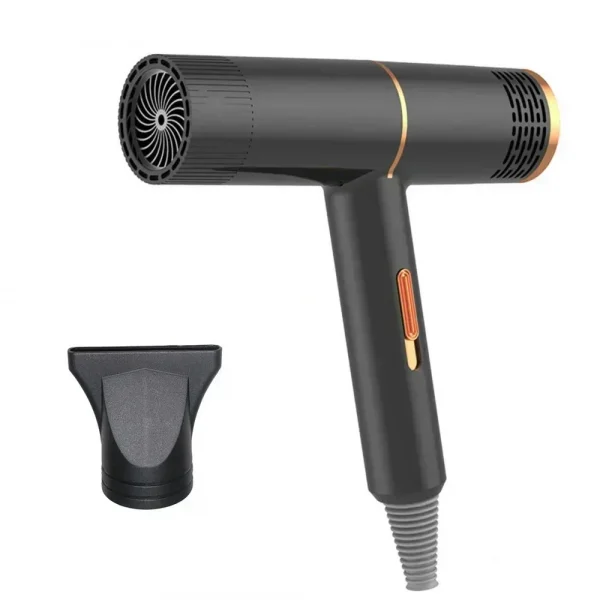 Professional High-Speed Hair Dryer 110V/220V