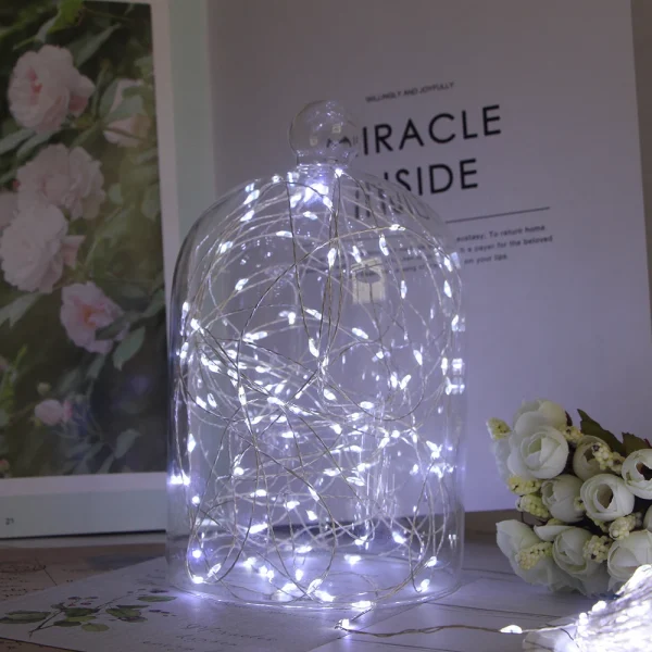 Silver Wire LED Fairy String Lights USB 5M 10M 20M